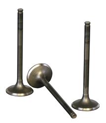 Pro-X Racing Parts Steel Valves for 1980-1984 XR200, 1981-2002 XR200R - 28.1381-1