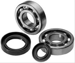 Quadboss Crankshaft Bearings and Bushings 413250