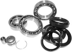 Quadboss Differential Bearing and Seal Kits 414288