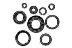 Quadboss Oil Seals 564158