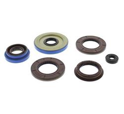 Quadboss Oil Seals 564238