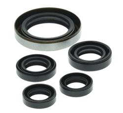 Quadboss Oil Seals 564349