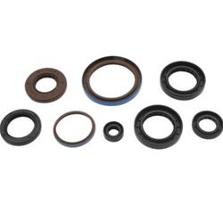 Quadboss Oil Seals 564596