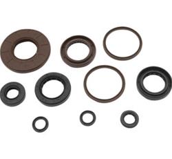 Quadboss Oil Seals 564616