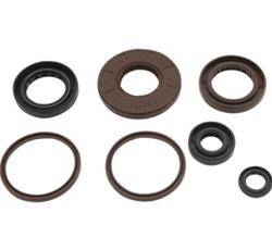 Quadboss Oil Seals 564643
