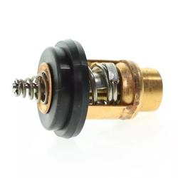 Quicksilver Thermostats 8M0228409