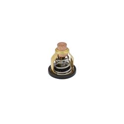 Quicksilver Thermostats, Mechanical 8M6010299