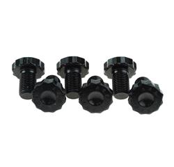 RAM Flywheel Bolts 530