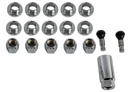 Race Star Industries Lug Nuts and Lug Bolts 602-5828-10