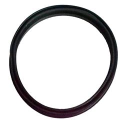 Agility Auto Parts Fuel Tank Lock Rings for 2003-2004 6 - 4060002