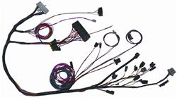 The Detail Zone Ford 2.3 Turbo EFI Engine Swap Wiring Harnesses MG65