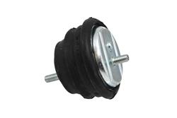 Rein Automotive Engine Mounts for 2001-2003 525I, 530I, 1997-2000 528I - AVE0305