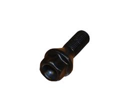 Rein Automotive Lug Bolts HWB0030