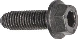 Rein Automotive OE Quality Bolts HWB0062