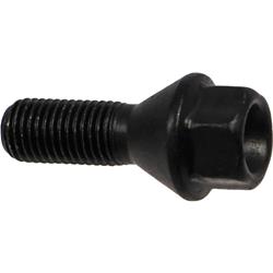 Rein Lug Nuts and Lug Bolts HWB1009