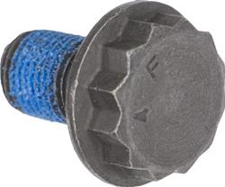 Rein Automotive OE Quality Flexplate Bolts HWB1063