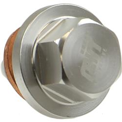 Rein Oil Pan Drain Plugs HWU0112