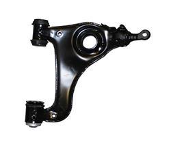 Rein Automotive Control Arms SCA0073P