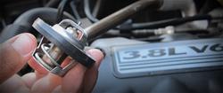 RIPP Superchargers Thermostats