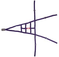 RJS USAC Roll Cage Safety Nets 10001408