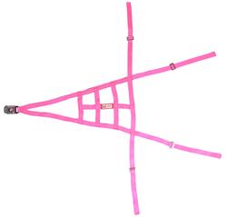 RJS USAC Roll Cage Safety Nets 10001410