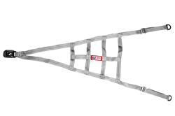 ROLL CAGE SAFETY NET