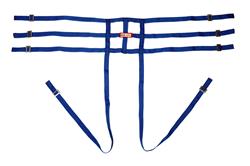 RJS Latch-Type SCCA Shoulder  2-Point Harness 10001701
