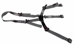 RJS Junior Dragster Latch and Link  5-Point Harness 1000707