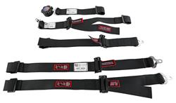 RJS Junior Dragster Camlock  5-Point Harness 1016301