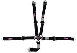 RJS Junior Dragster Camlock  5-Point Harness 1027007