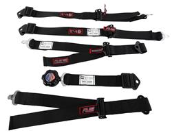 RJS Junior Dragster Camlock  5-Point Harness 1023301
