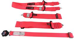 RJS Classic Series Camlock  4-Point Harness 1029510