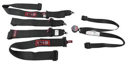 RJS Classic Series Camlock  6-Point Harness 1031501