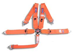 RJS Classic Series Camlock  5-Point Harness 1031705