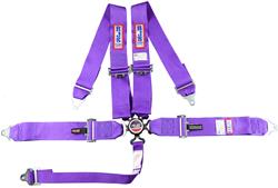 RJS Classic Series Camlock  5-Point Harness 1031708