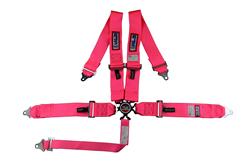 RJS Classic Series Camlock  5-Point Harness 1031710