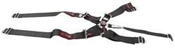 RJS Classic Series Camlock  5-Point Harness 1032001