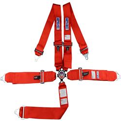 RJS Classic Series Camlock  5-Point Harness 1032504