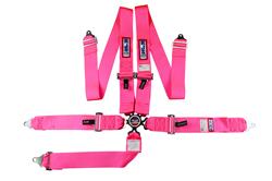 RJS Classic Series Camlock  5-Point Harness 1034910