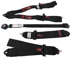 RJS Classic Series Camlock  5-Point Harness 1043801