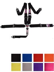 RJS Classic Series Camlock  5-Point Harness 1048605