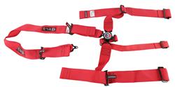 RJS Classic Series Camlock  5-Point Harness 1058304