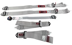 RJS Classic Series Camlock  5-Point Harness 1075007