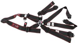 RJS Elite Series Camlock  6-Point Harness 1100501