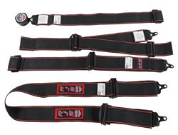 RJS Elite Series Camlock  5-Point Harness 1110801