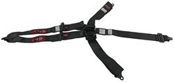 RJS Classic Series Latch and Link  5-Point Harness 1140601