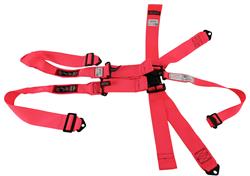RJS Classic Series Latch and Link  5-Point Harness 1142210
