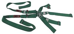 RJS Classic Series Latch and Link  5-Point Harness 1145609