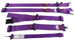 RJS Classic Series Latch and Link  7-Point Harness 1156808