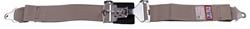 RJS Classic Series Latch and Link  2-Point Harness 15001907